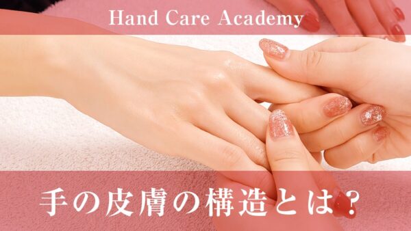手の皮膚の構造とは？表皮・真皮・皮下組織をハンドケア専門店がわかりやすく解説