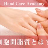 細胞間脂質とは？セラミドとの関係や手肌の乾燥との関係をハンドケア専門店が解説