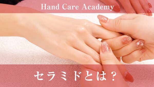 セラミドとは？手肌のうるおいを守る役割や細胞間脂質との関係をハンドケア専門店が解説