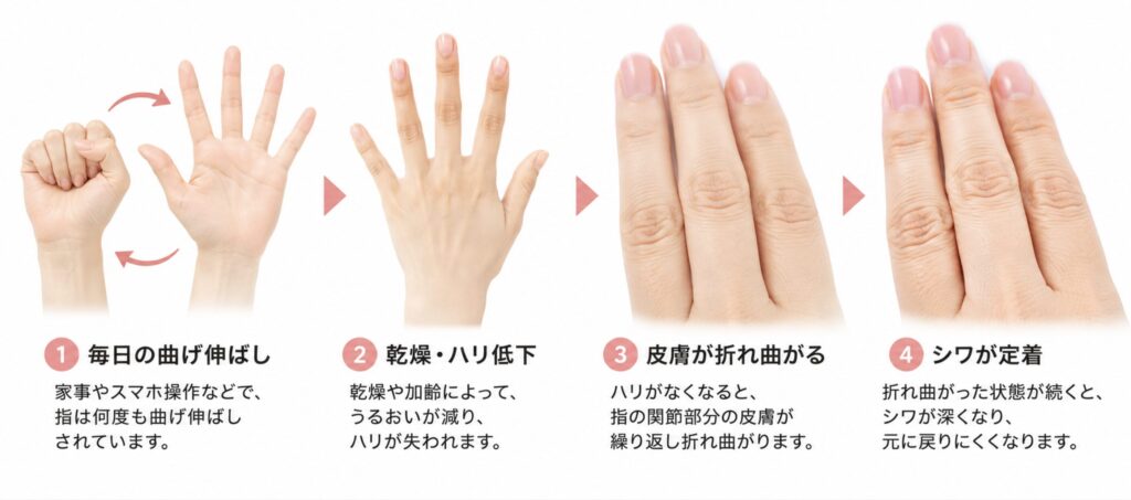 毎日の手の動きが乾燥でシワが定着