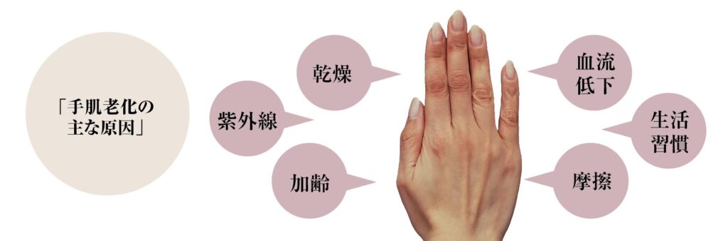 手の老化の主な原因