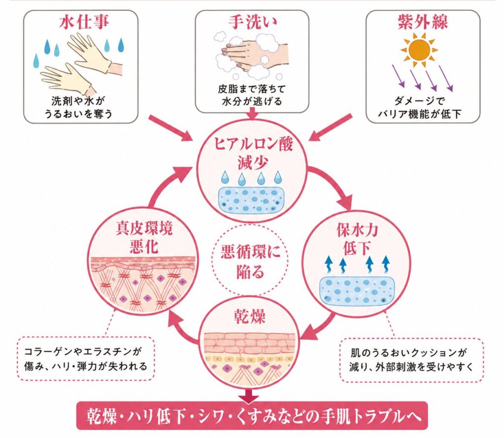 ヒアルロン酸減少と乾燥が悪循環になる流れを示す図