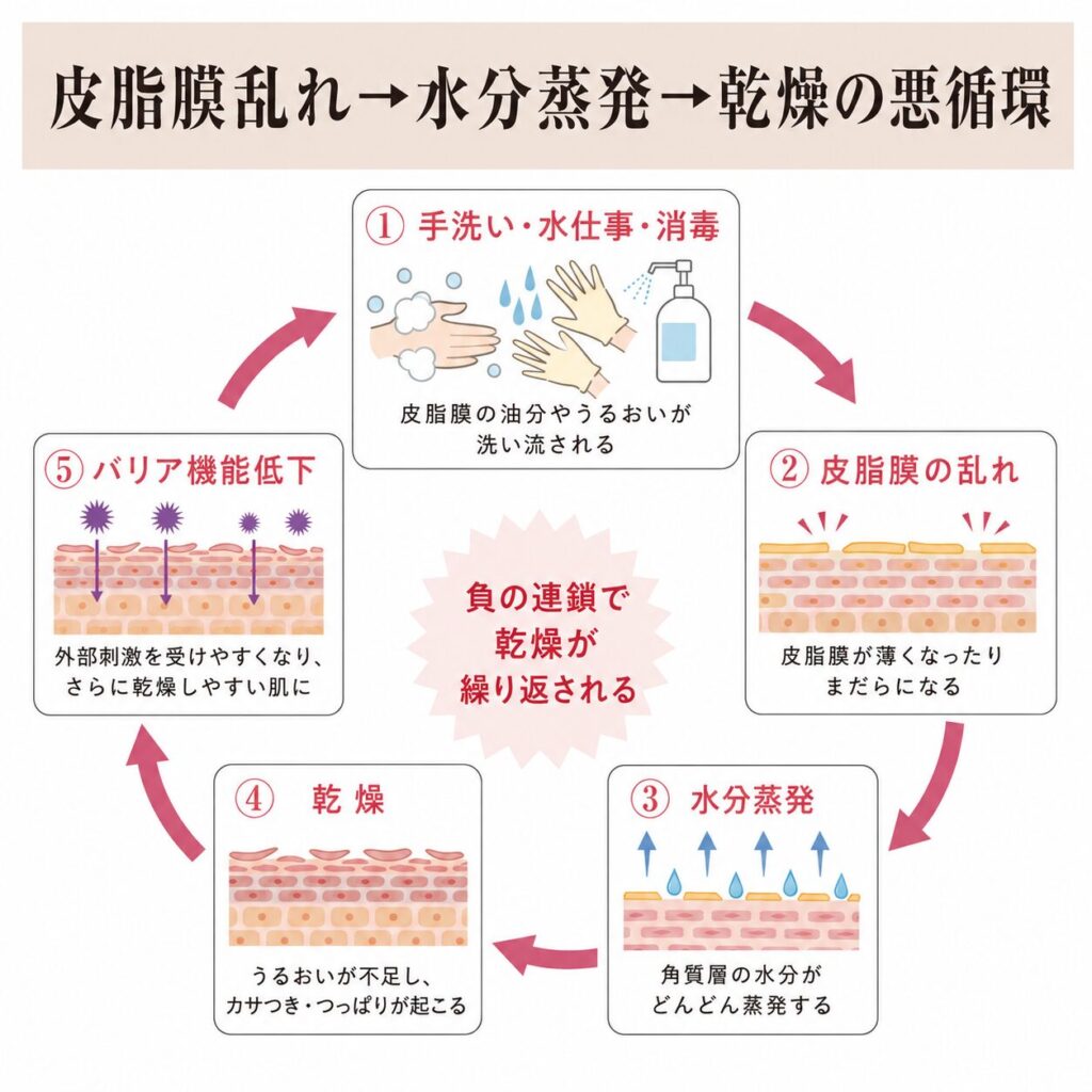皮脂膜の乱れと乾燥が悪循環になる流れを示す図
