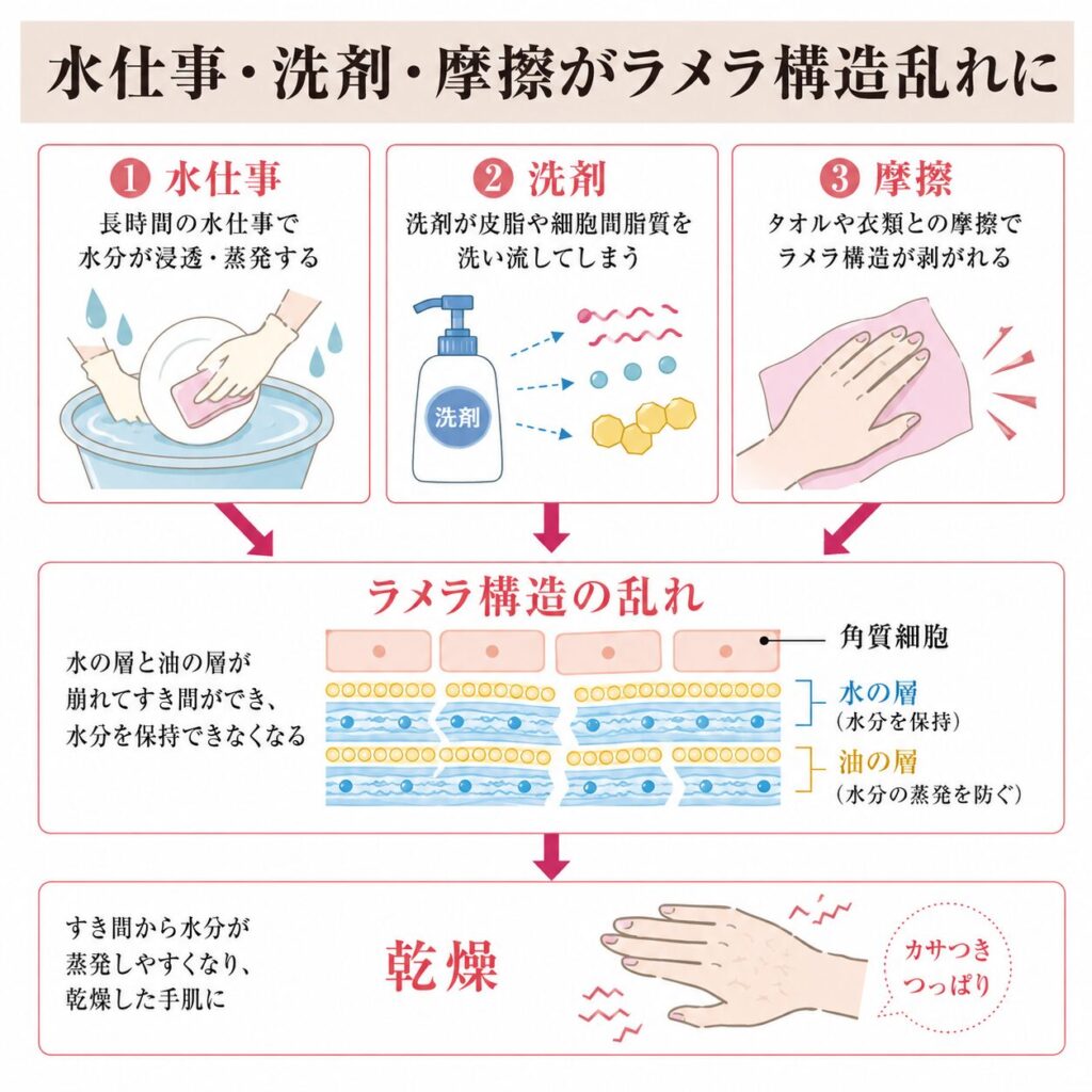 水仕事・洗剤・摩擦がラメラ構造の乱れにつながる流れを示す図