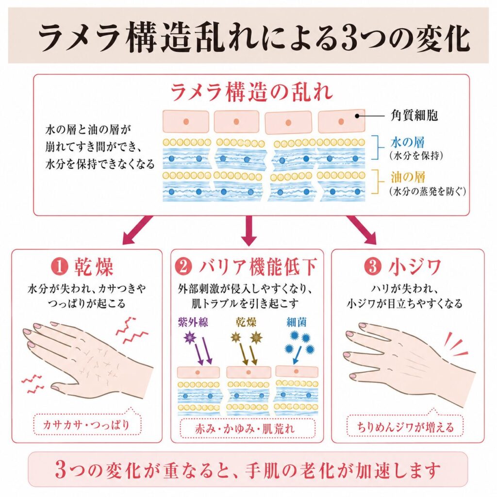 ラメラ構造の乱れによって乾燥・バリア低下・小ジワが起こる流れを示す図