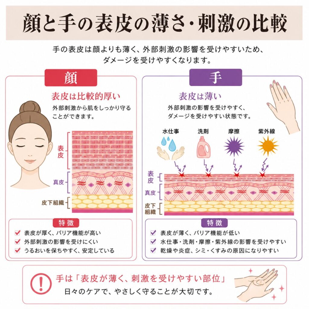 手が顔より表皮が薄く刺激を受けやすい理由を示す図