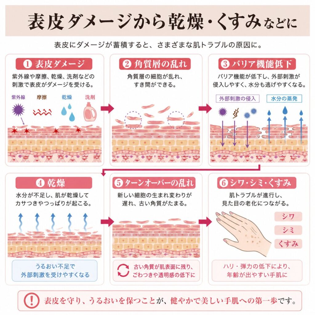 表皮の乱れによって乾燥・バリア低下・くすみが起こる流れを示す図