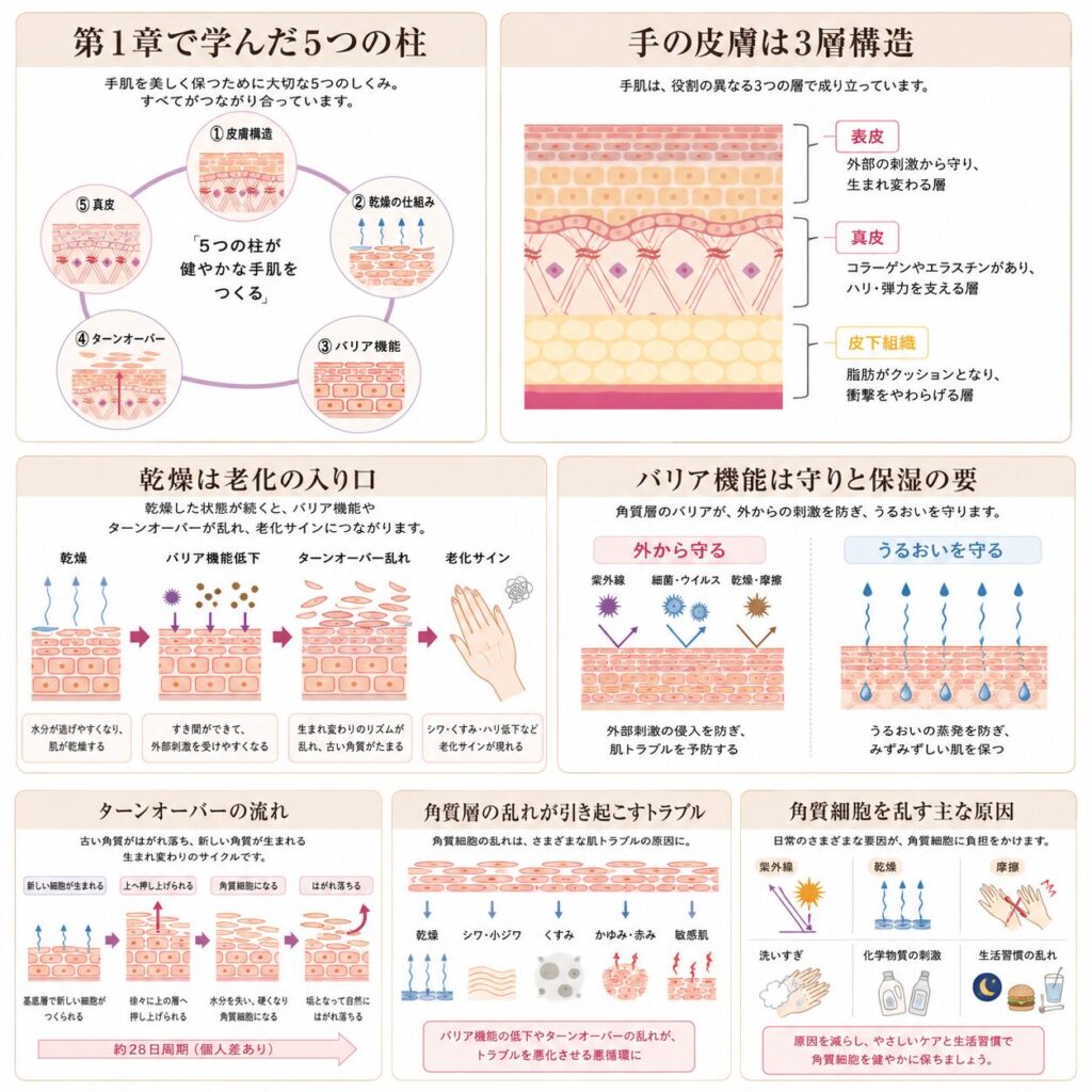 第1章で学んだ手肌のしくみ5つの柱を示す図