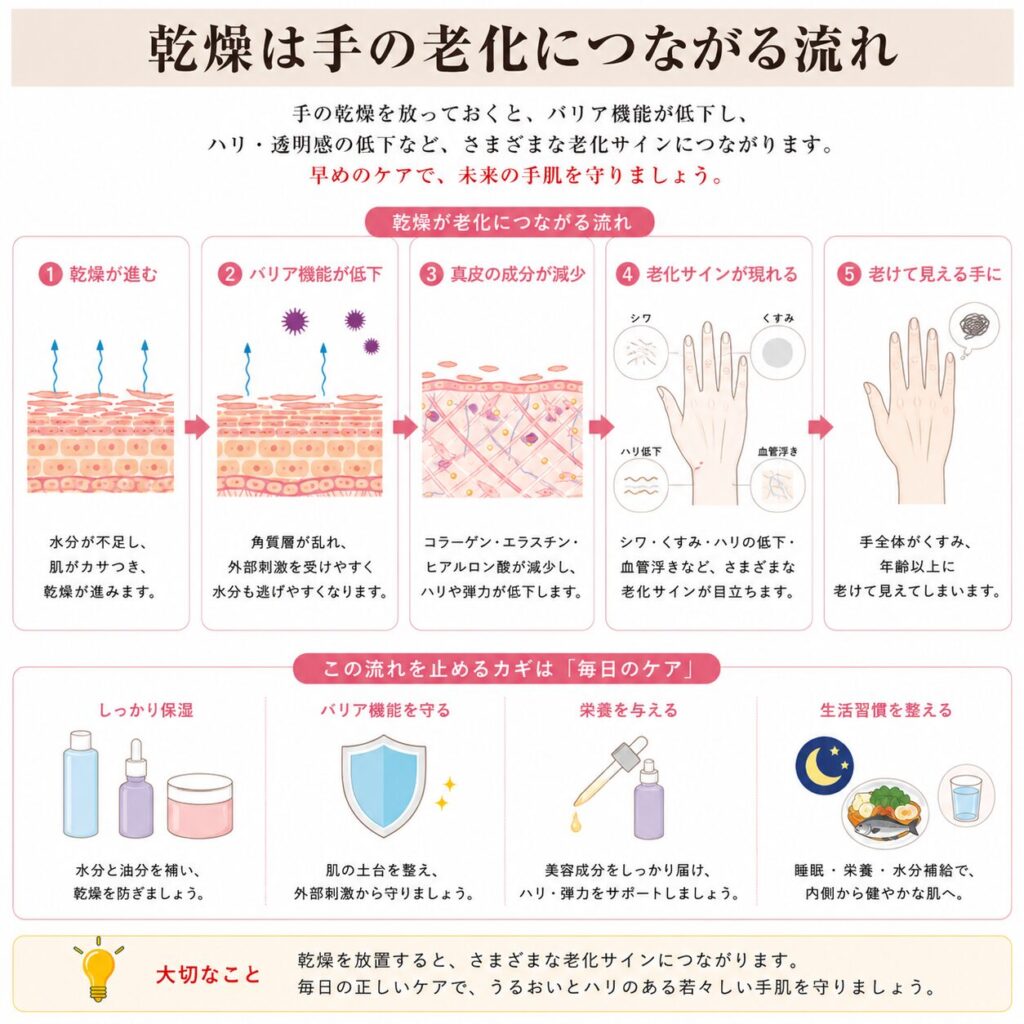 乾燥から手の老化サインにつながる流れを示す図
