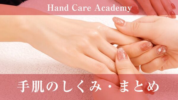 手肌のしくみまとめ｜乾燥・バリア・ターンオーバーを総復習