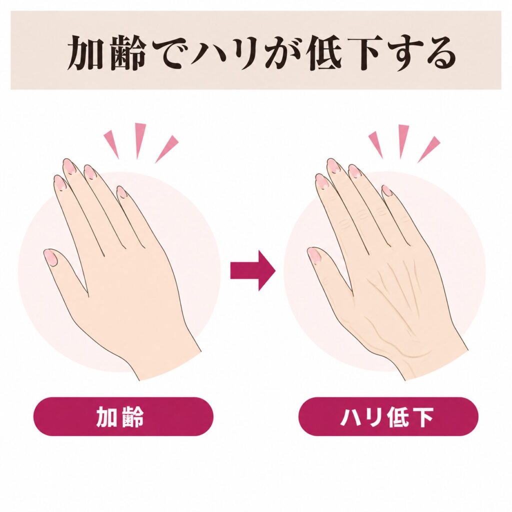 加齢からハリ低下につながる図