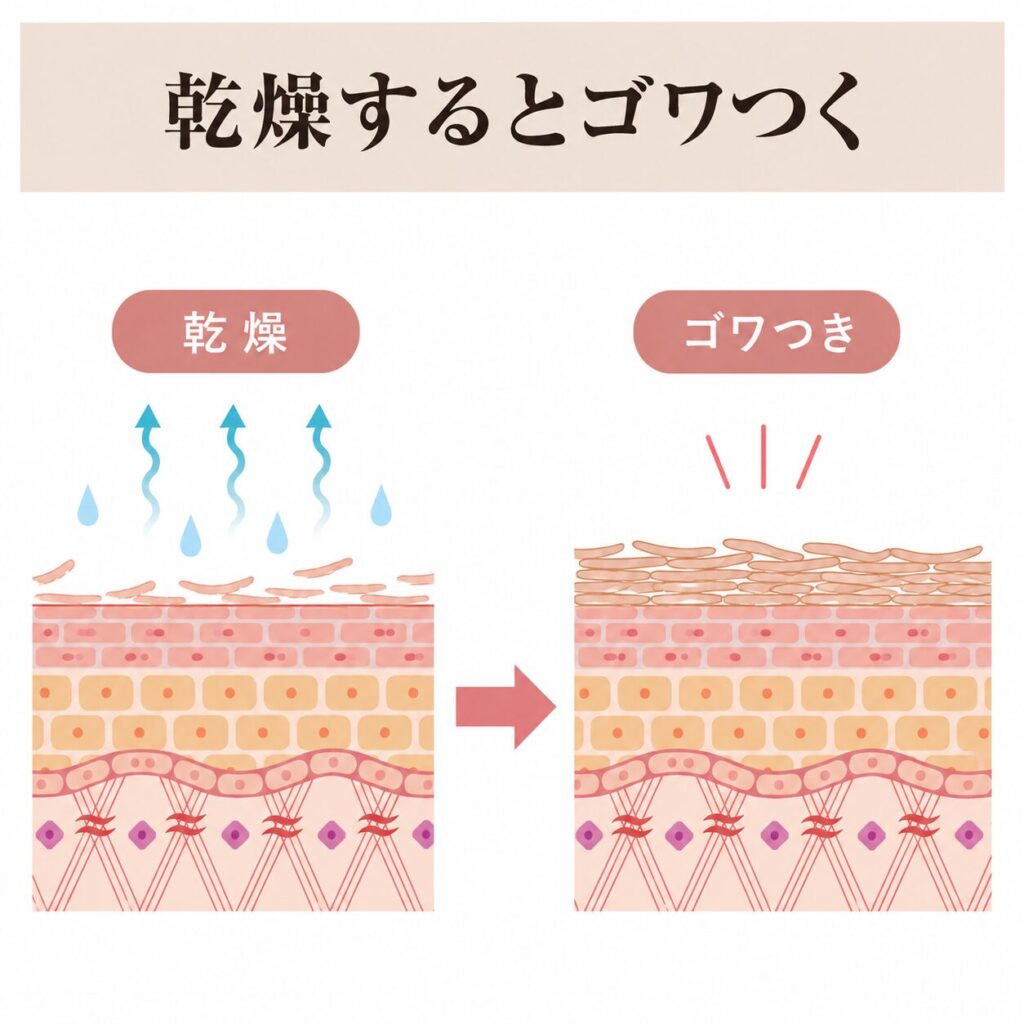 乾燥がゴワつきにつながる図