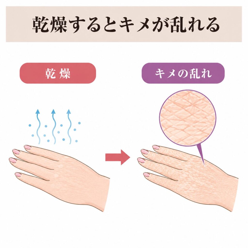 乾燥からキメの乱れにつながる図