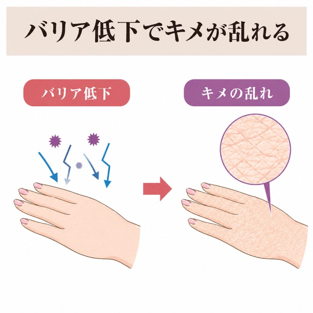 バリア機能の低下からキメの乱れにつながる図