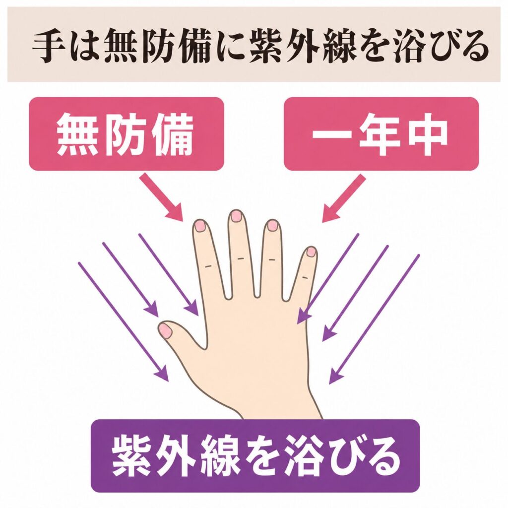 手が無防備に紫外線を浴び続けやすい理由の図