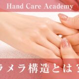 ラメラ構造とは？