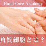 角質細胞とは