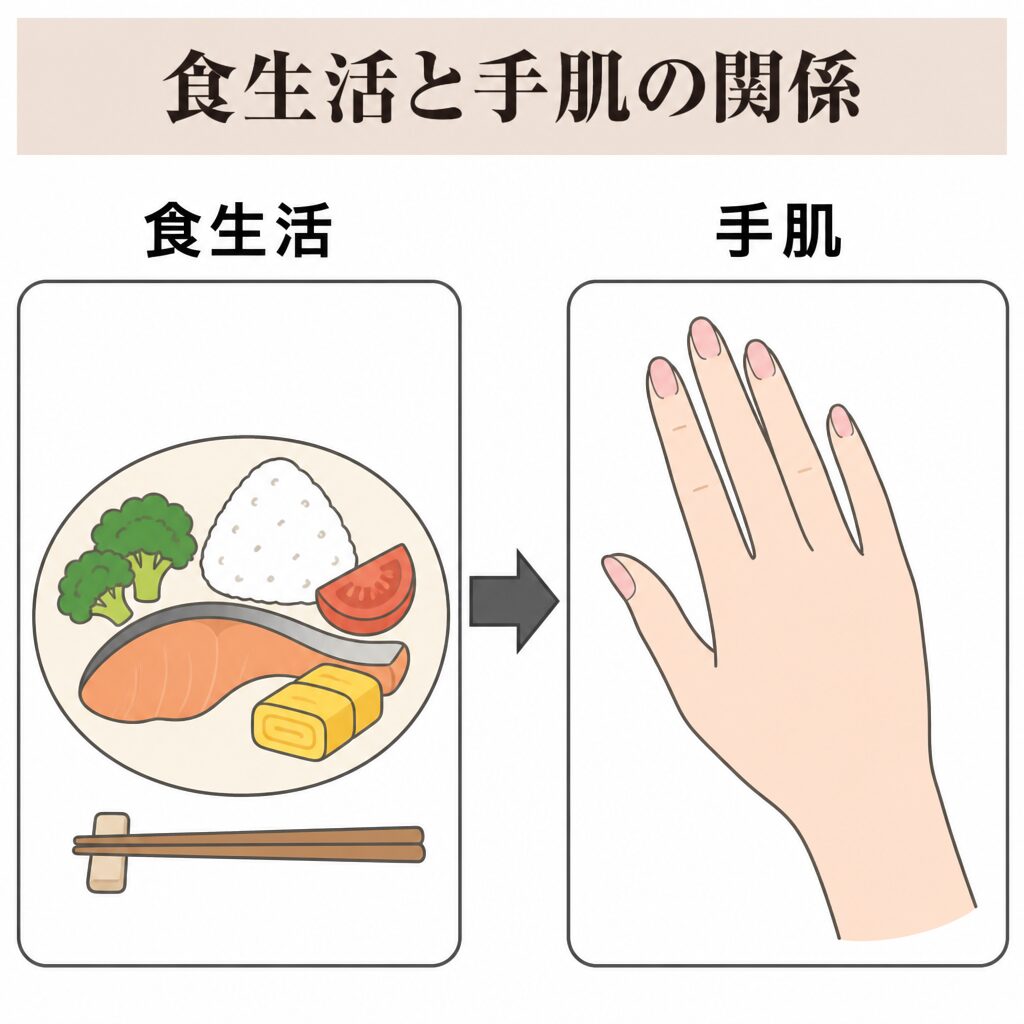 食生活と手肌の関係を示す図