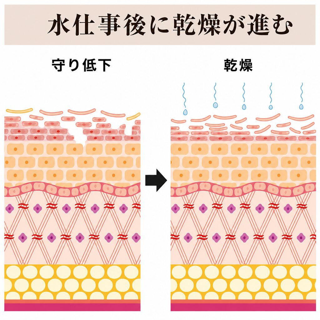 水仕事後に乾燥が進む図
