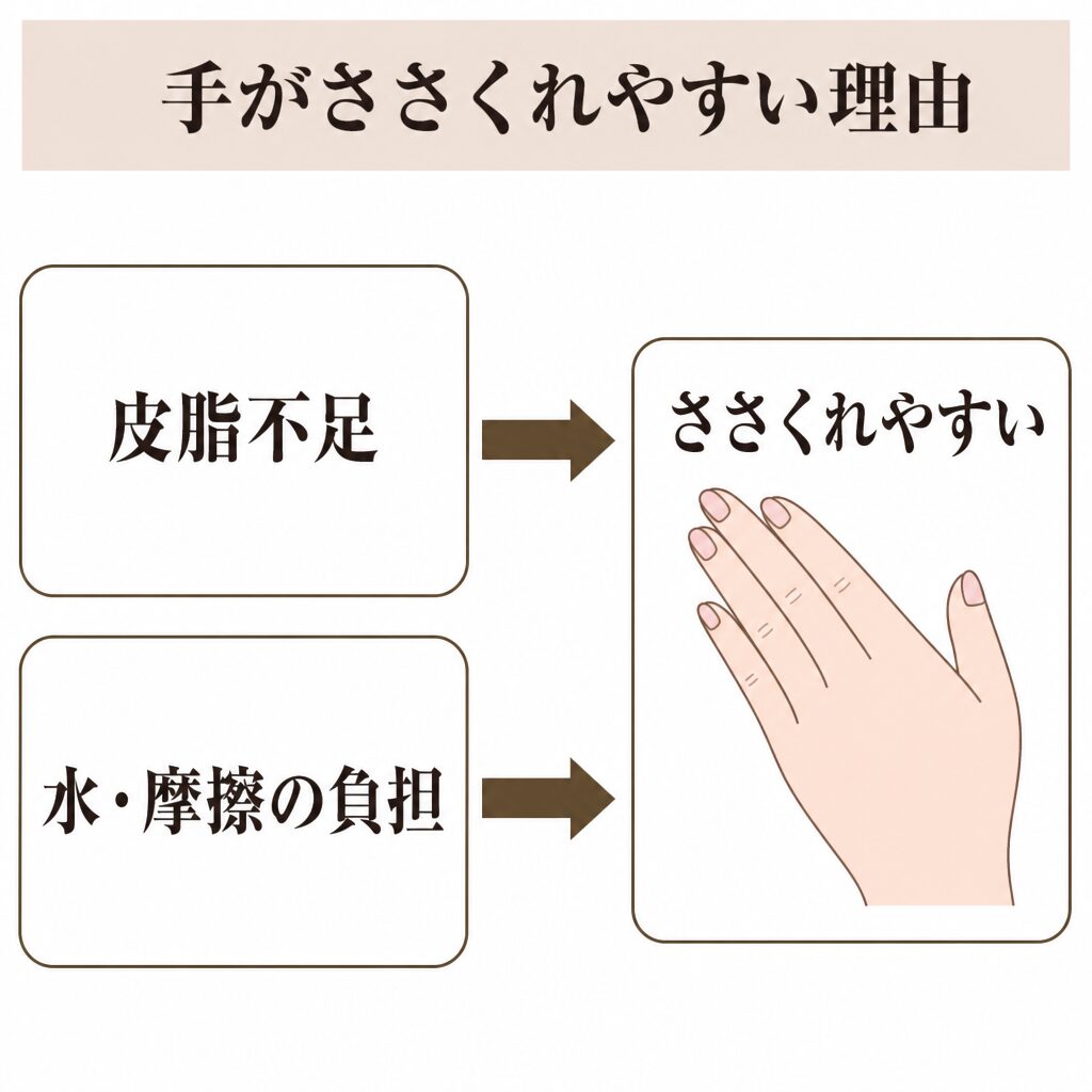 皮脂の少なさ・水と摩擦の多さで手がささくれやすいことを示す図