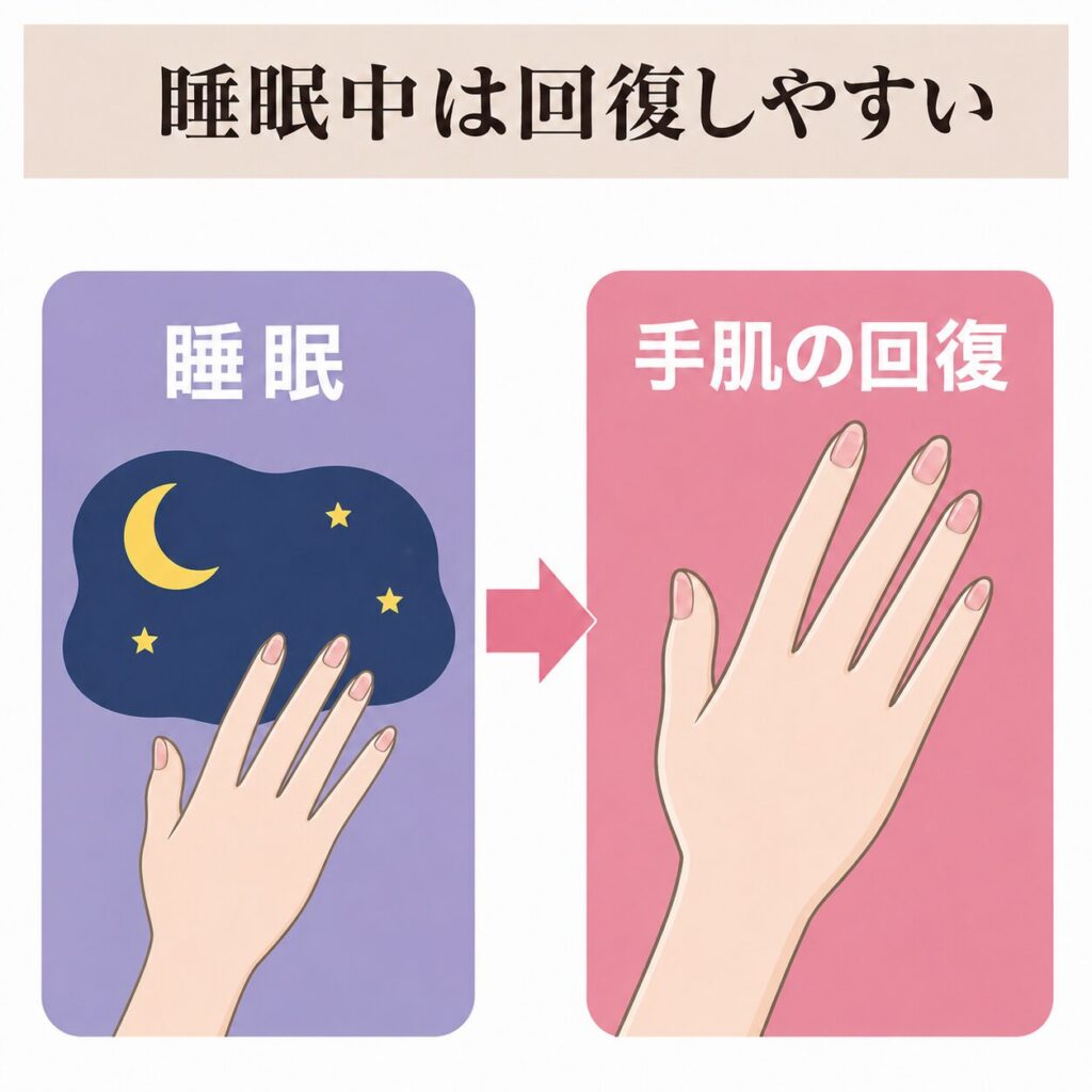 睡眠中に手肌が回復しやすい時間帯であることを示す図