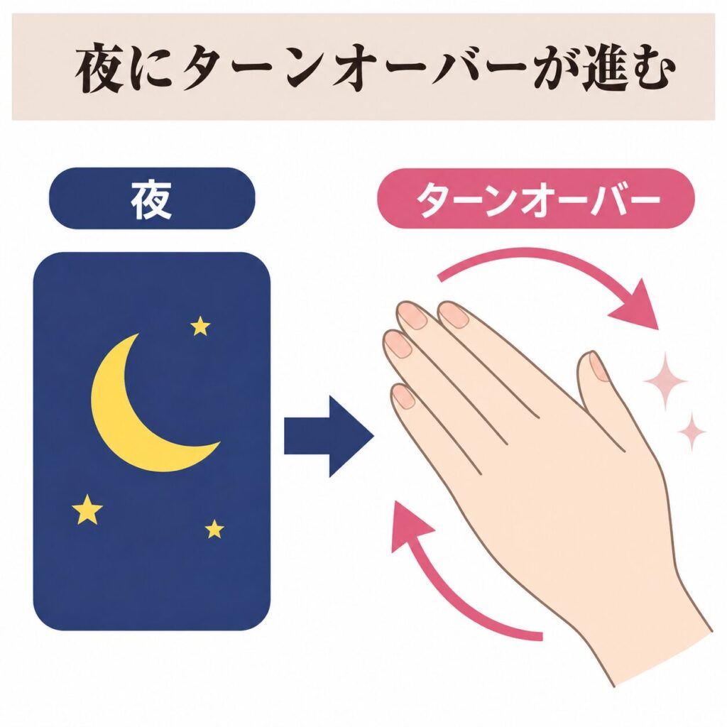夜のターンオーバーと就寝前保湿の関係を示す図