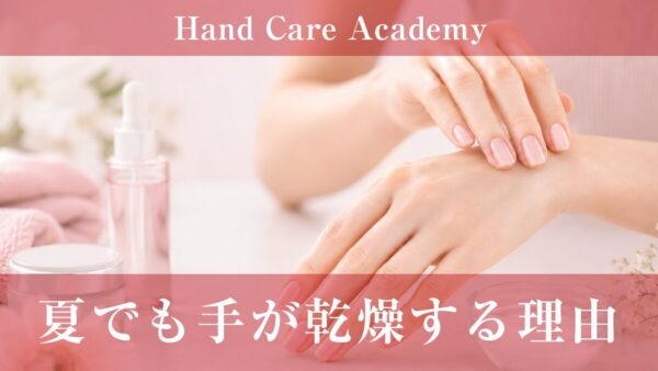 夏でも手が乾燥する理由｜エアコン・紫外線・汗・皮脂を解説