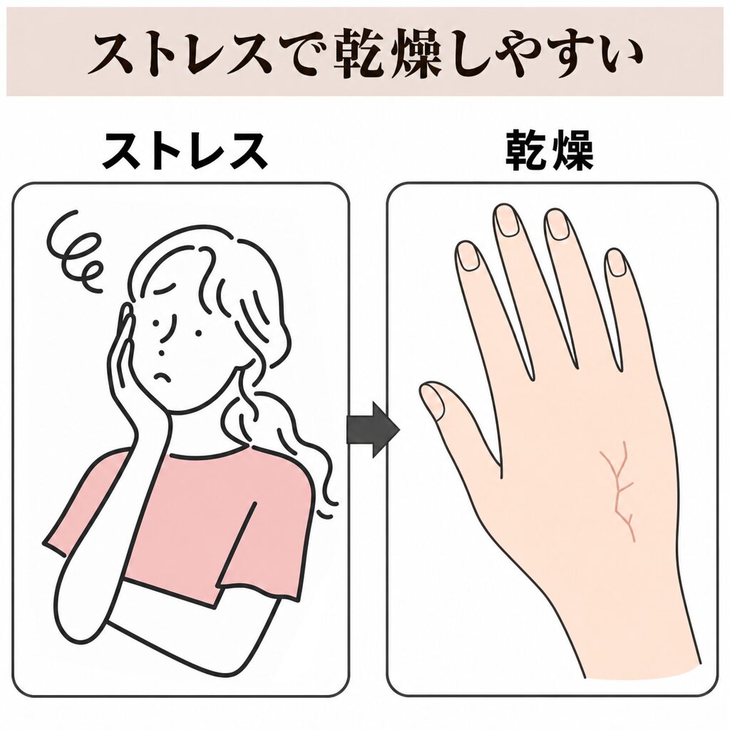 ストレスで乾燥しやすくなる図