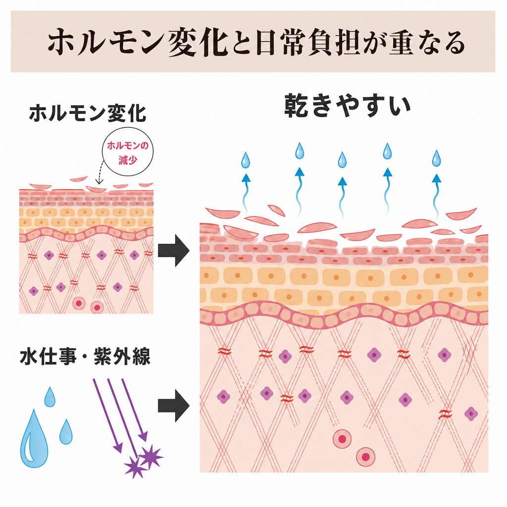 ホルモン変化と日常負担が重なる図