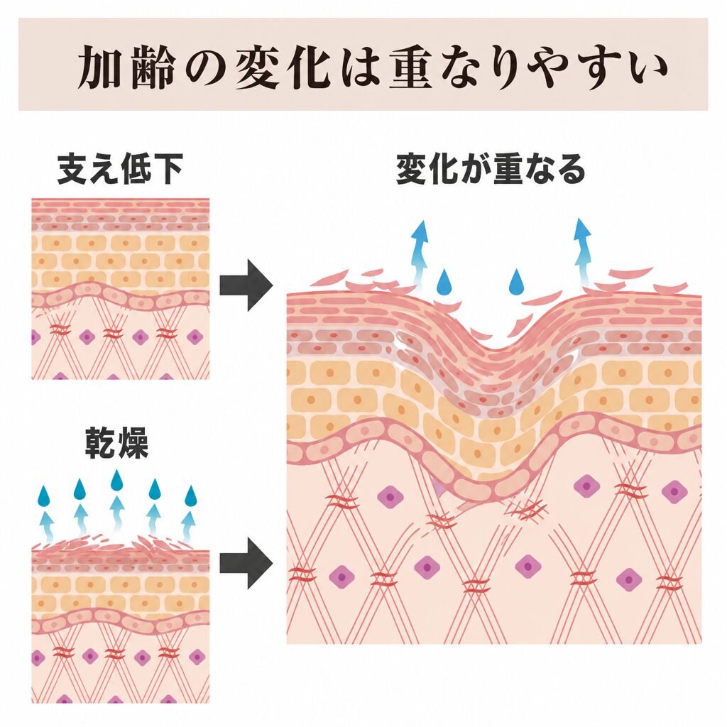 加齢の変化が重なって現れる図