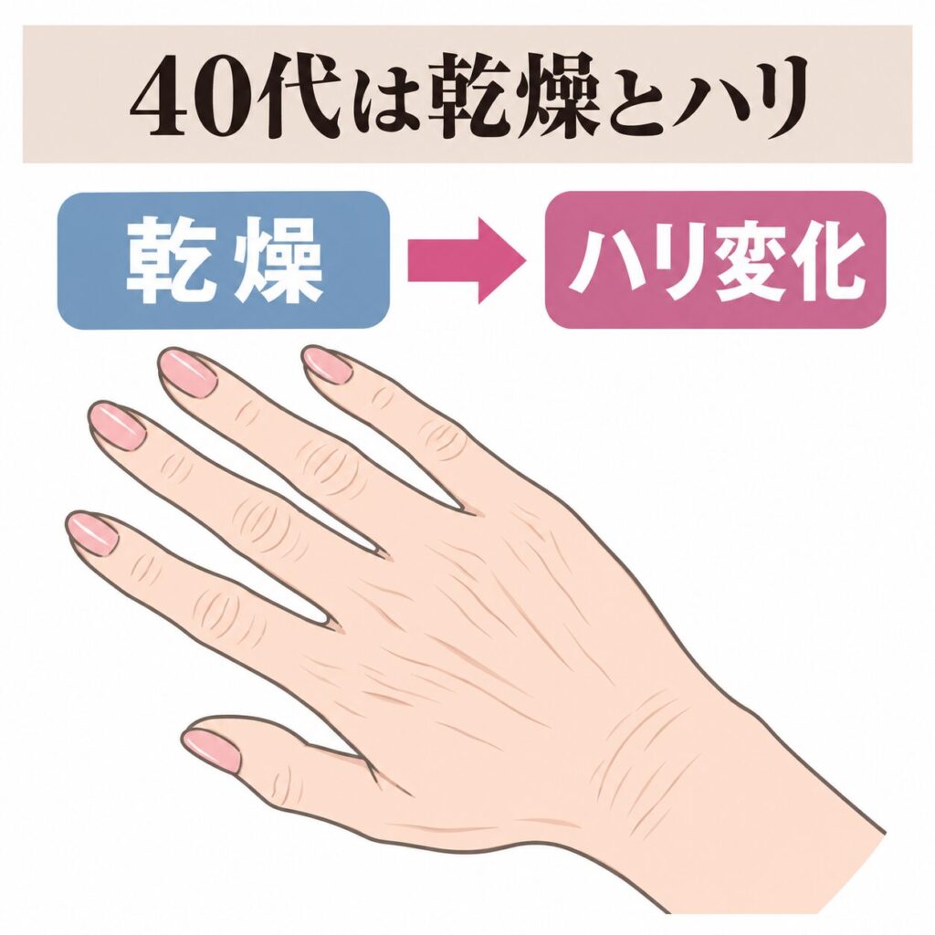 40代の手肌で乾燥とハリの変化が始まる時期の図
