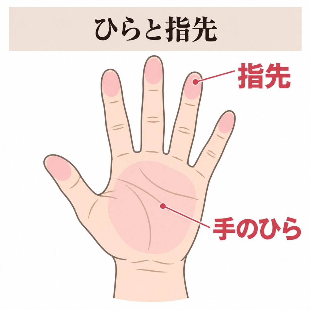 ひらと指先