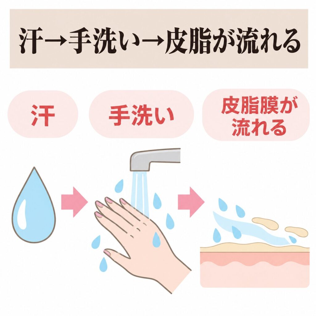 汗を洗い流すと皮脂膜も失われる図