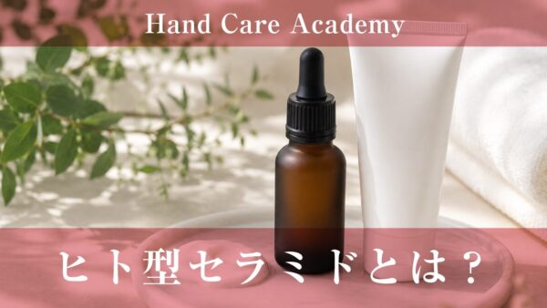 ヒト型セラミドとは？｜種類の違いと手肌のバリア機能を解説